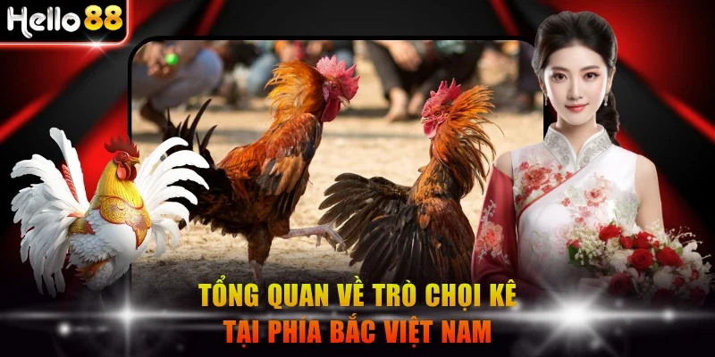 Tổng quan về trò chọi kê tại phía Bắc Việt Nam